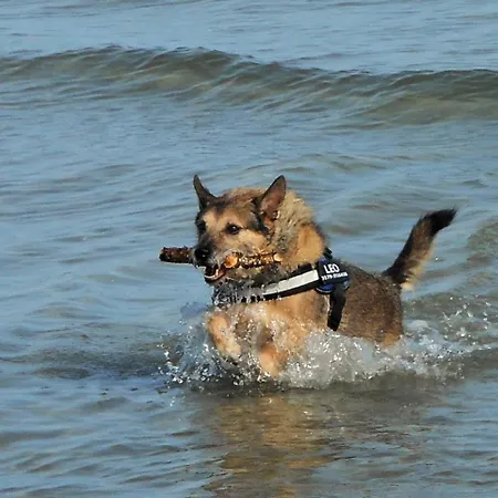 Aufwind I Haushaelfte Lejlighed Fuhlendorf (Mecklenburg-Vorpommern)