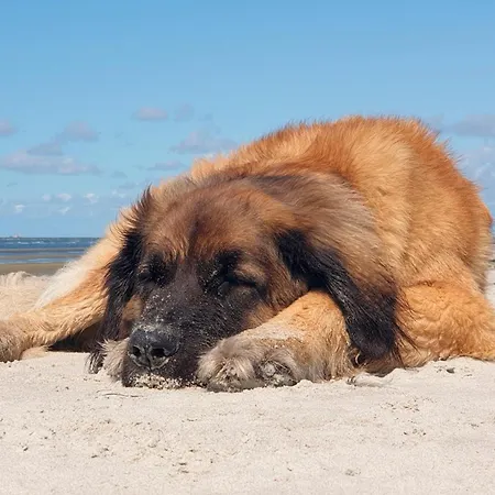 Aufwind I Haushaelfte Lejlighed Fuhlendorf (Mecklenburg-Vorpommern)
