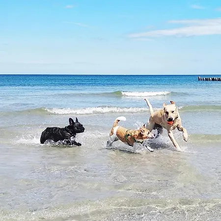 Aufwind I Haushaelfte Lejlighed