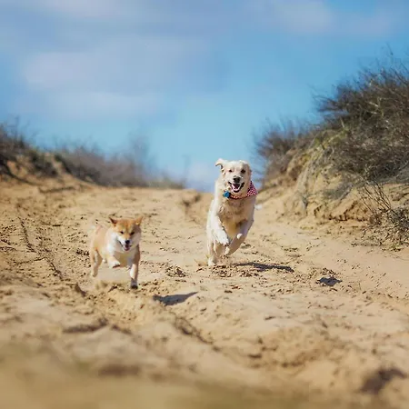 Aufwind I Haushaelfte Lejlighed *